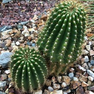 Meet your Posher, Madeline